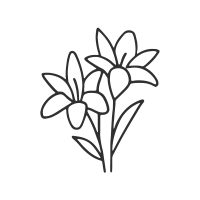 fleur-deuil